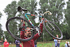 Изображение товара Наклейка на раму велосипеда Forest