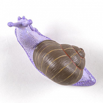 Крючки интерьерные Snail Slow, мультиколор